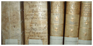 Biblioteca Mater Dei