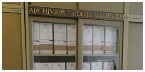 Archivio OMD