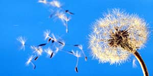 commento 04-08-19