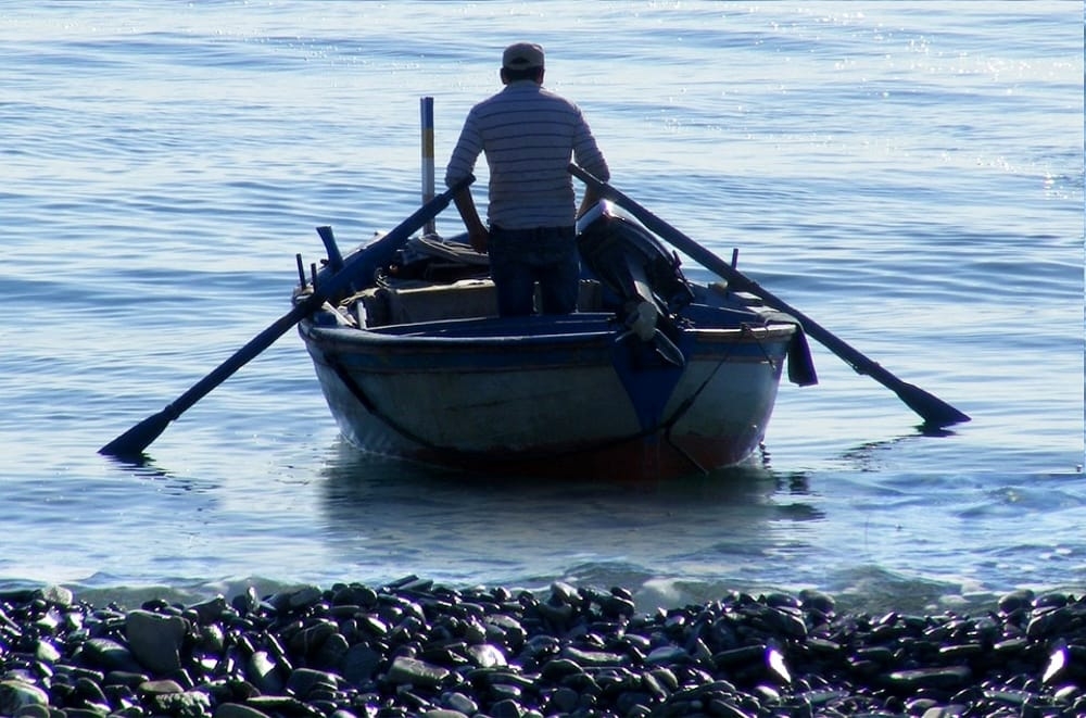 Ripescati