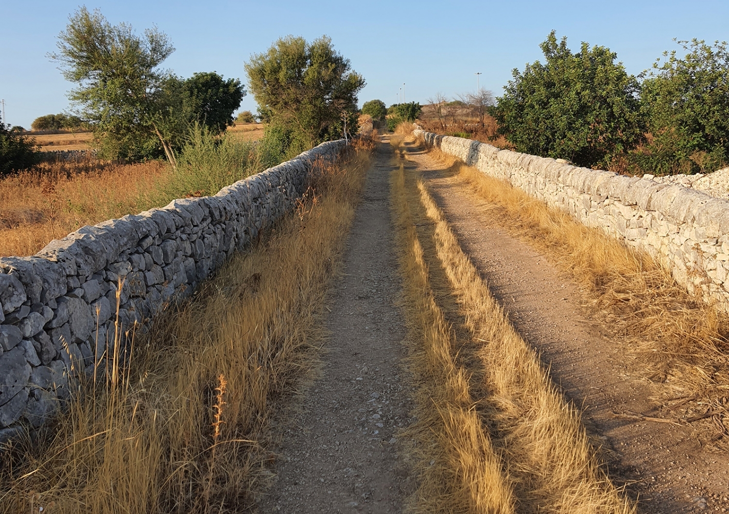 Sulla buona strada