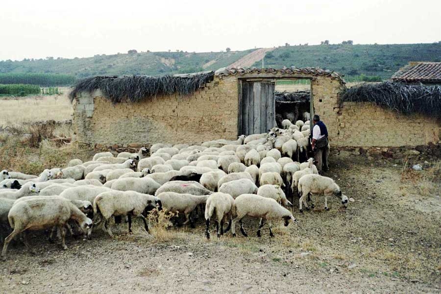Porta aperta