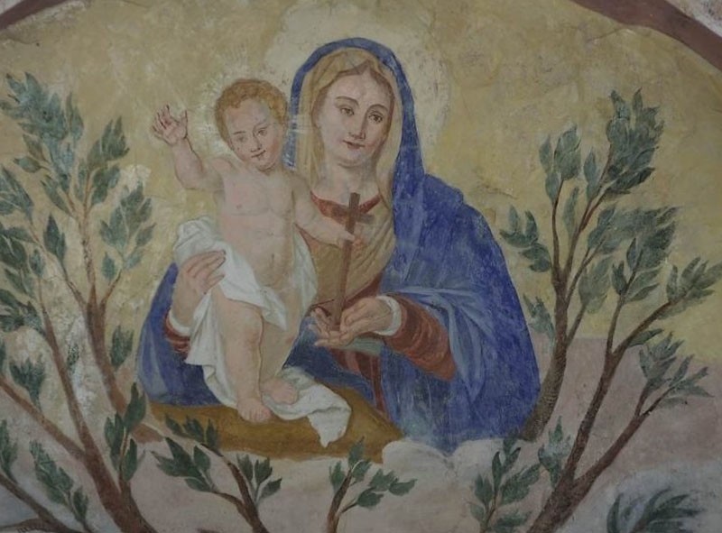 “Madonne arboree”. Quando la Vergine appare sull’albero