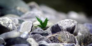 commento-al-Vangelo 12-02-16