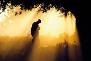 commento 16-10-16