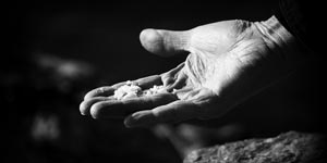 commento 19-08-17