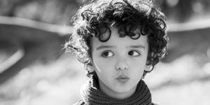 commento 30-97-17