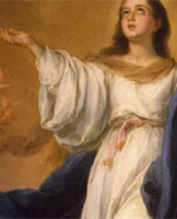 immacolataok